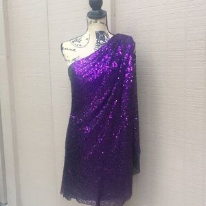 Sz 6 JS Boutiques Purple Sequined Dress